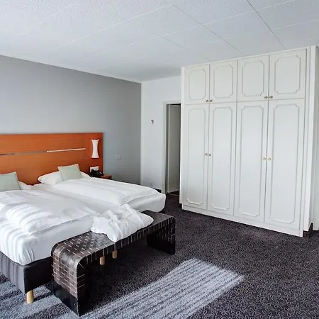 Hotel La Palma Au Muralto